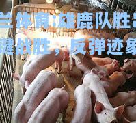 米兰体育:雄鹿队胜出关键战胜，反弹迹象明显